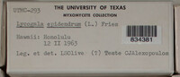 Image Associated With the Occurence